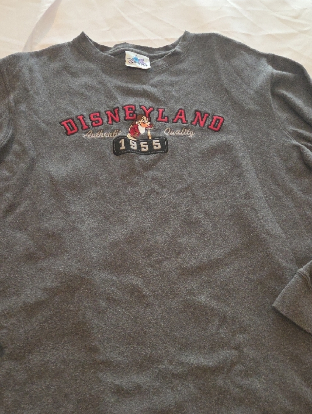 Disney Gray Disneyland 1955 Embroidered Sweatshirt - Picture 4 of 6